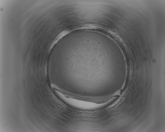 X0000087681409200705181718