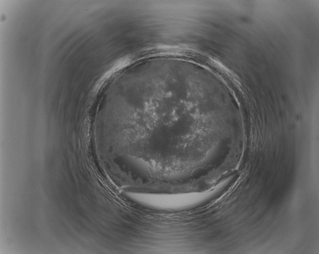 X0000087681411200705181718