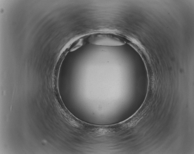 X0000087681412200705181718