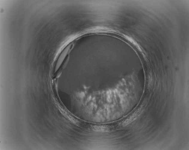 X0000087681413200705181718