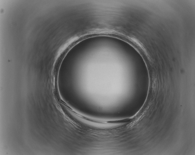 X0000087681414200705181718