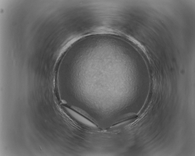 X0000087681415200705181718