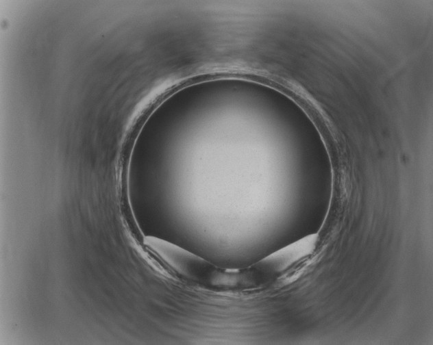 X0000087681416200705181718