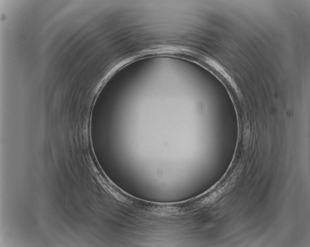 X0000087681417200705181718