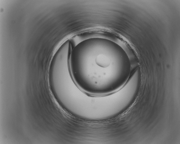 X0000087681418200705181718