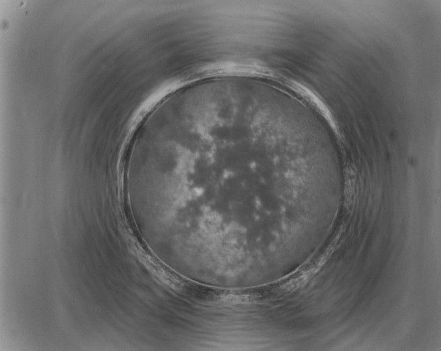 X0000087681419200705181718