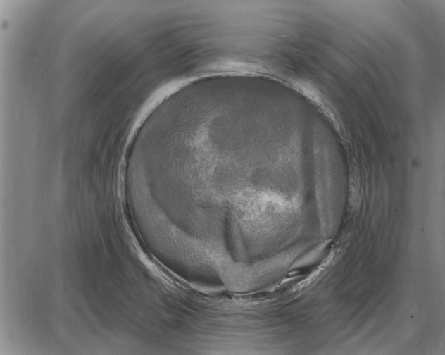 X0000087681421200705181718