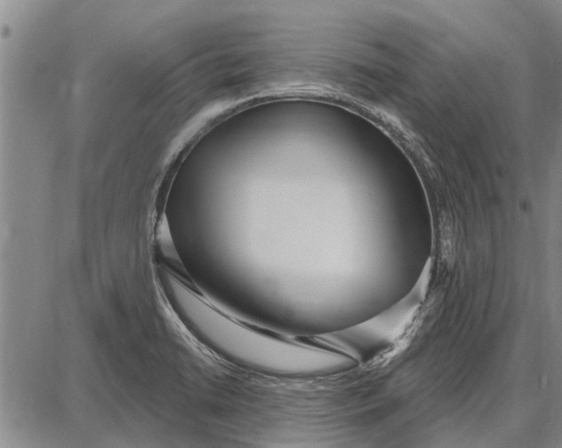 X0000087681422200705181718