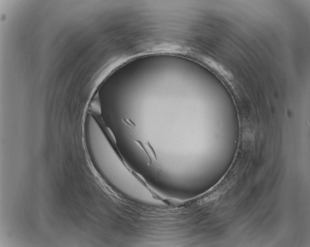 X0000087681423200705181718