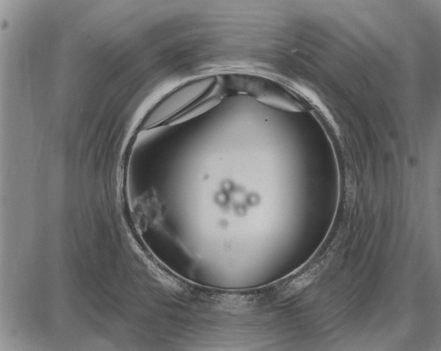 X0000087681424200705181718