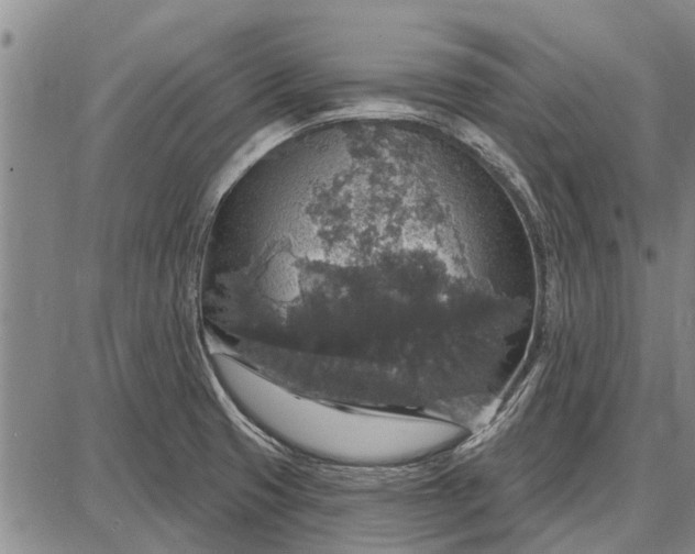 X0000087681425200705181718