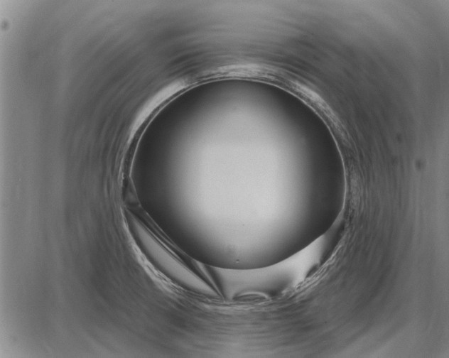 X0000087681426200705181718