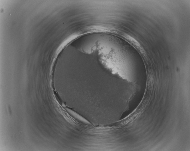 X0000087681427200705181718