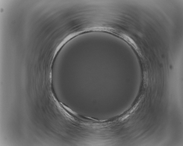 X0000087681428200705181718