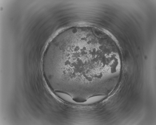 X0000087681429200705181718