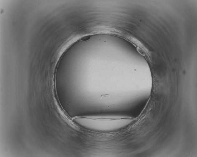 X0000087681431200705181718