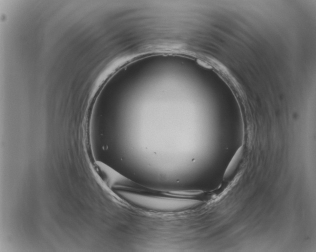 X0000087681432200705181718