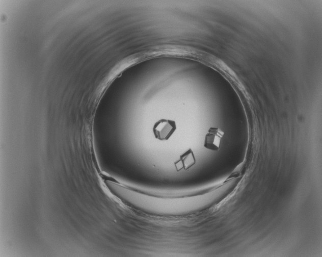 X0000087681433200705181718