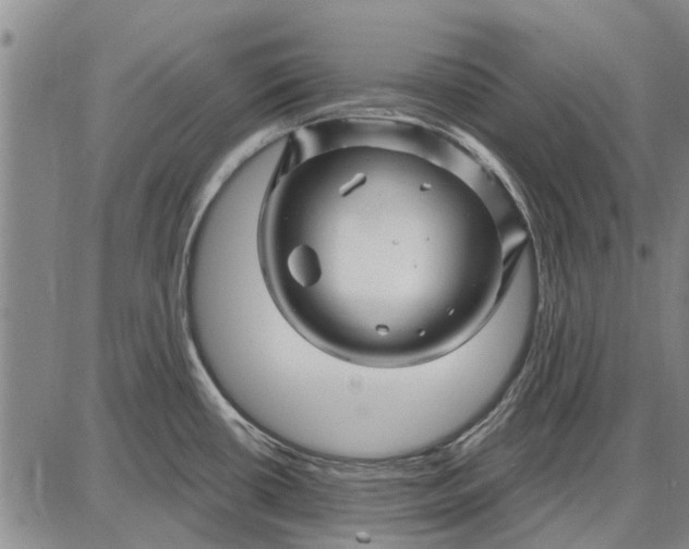 X0000087681434200705181718