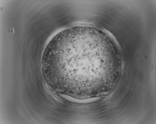 X0000087681435200705181718