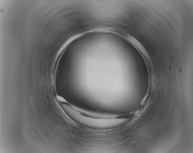 X0000087681436200705181718