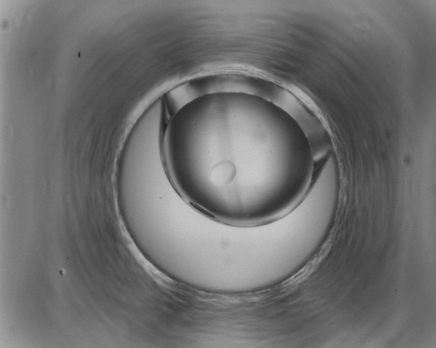 X0000087681438200705181718