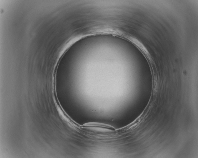 X0000087681439200705181718