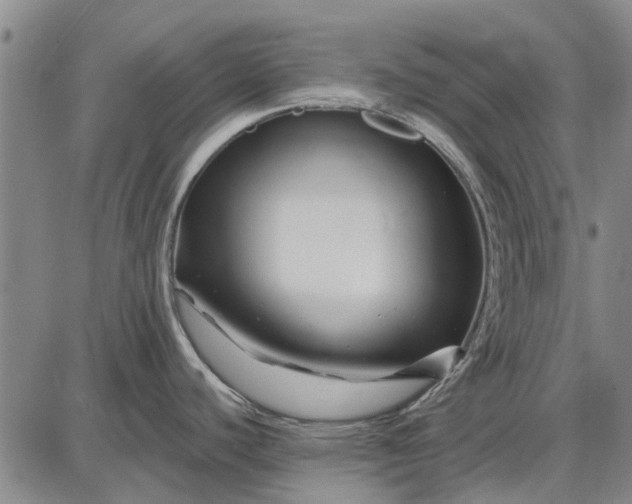 X0000087681440200705181718