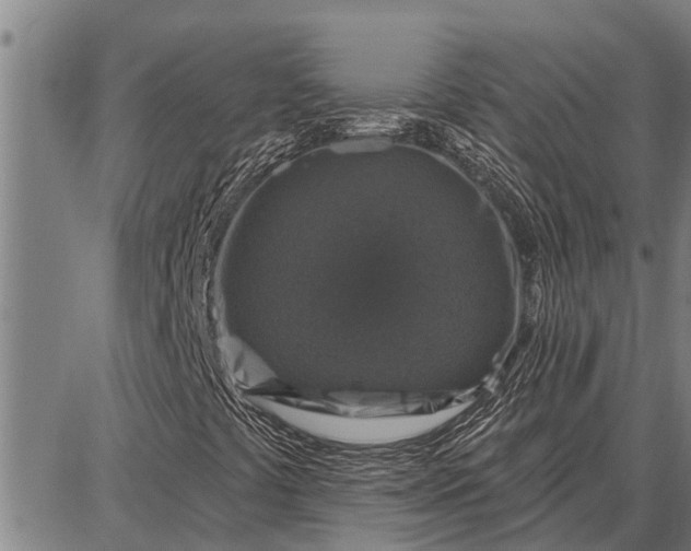 X0000087681441200705181718