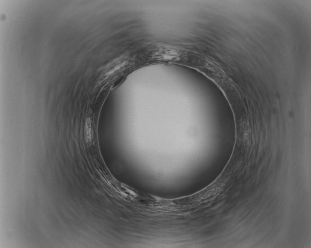 X0000087681442200705181718