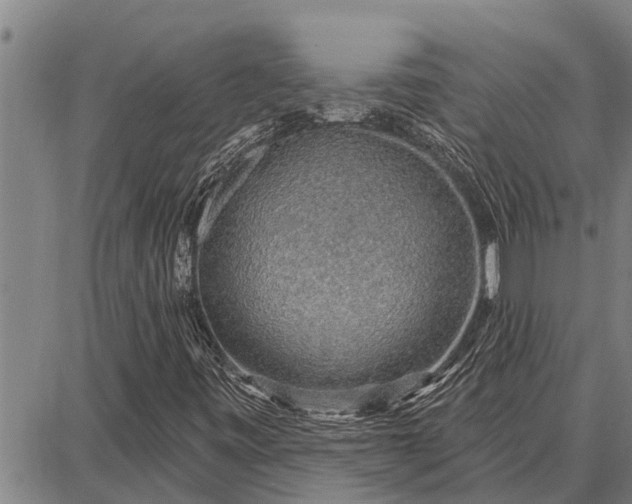 X0000087681443200705181718