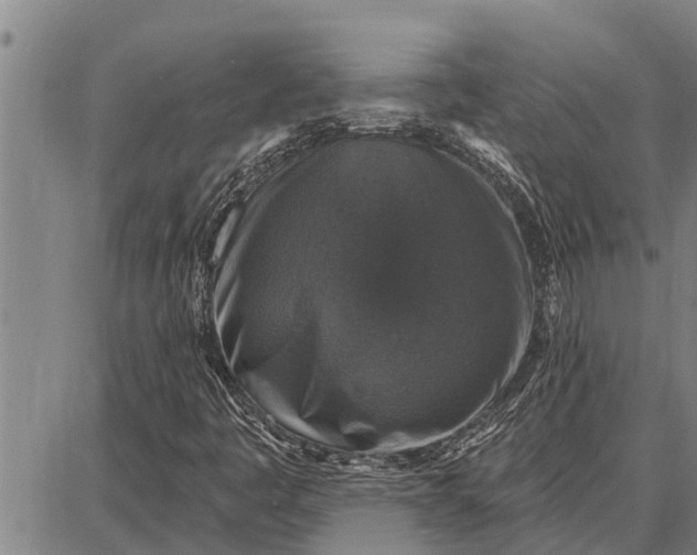 X0000087681445200705181718