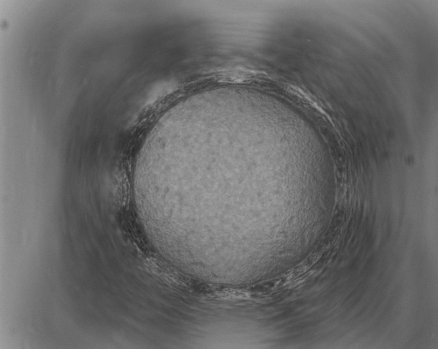 X0000087681446200705181718