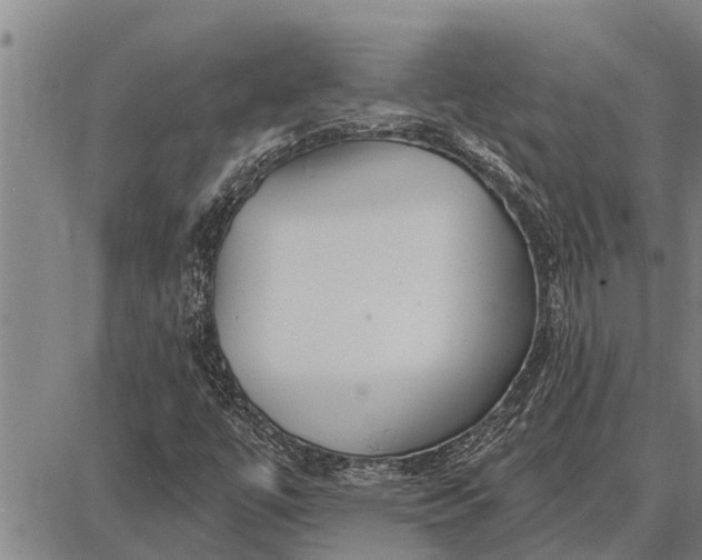 X0000087681447200705181718