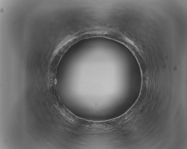 X0000087681448200705181718