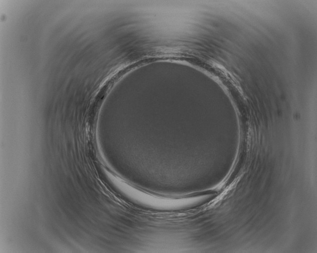 X0000087681449200705181718