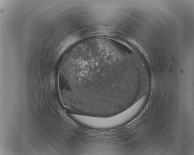 X0000087681450200705181718