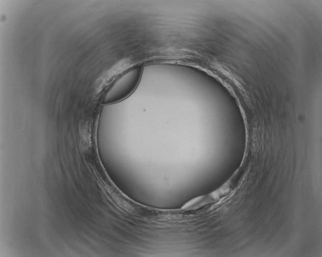 X0000087681451200705181718