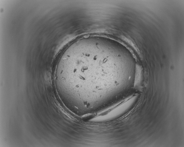 X0000087681452200705181718