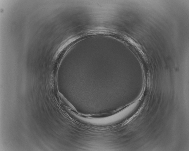 X0000087681453200705181718