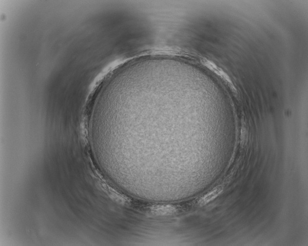 X0000087681454200705181718