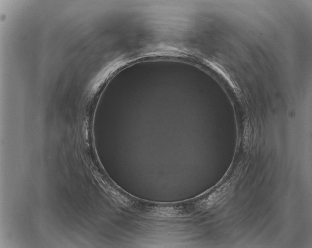 X0000087681455200705181717