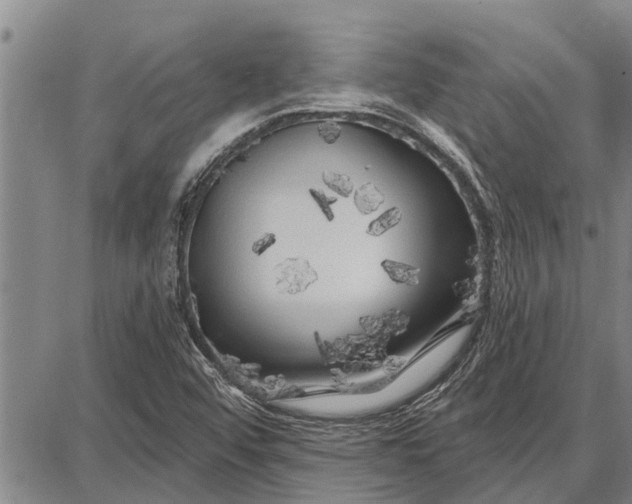 X0000087681456200705181717