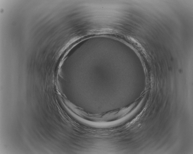 X0000087681457200705181717