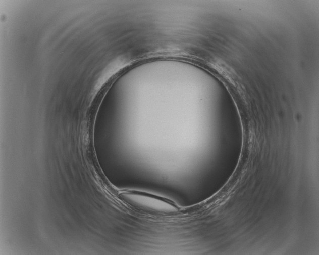 X0000087681458200705181717