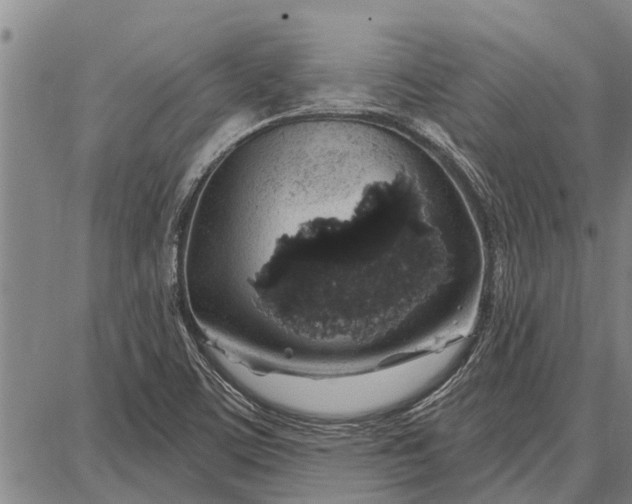 X0000087681459200705181717