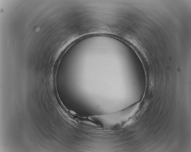 X0000087681460200705181717