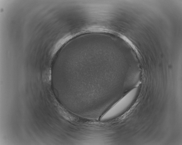 X0000087681461200705181717