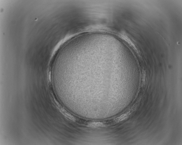 X0000087681462200705181717