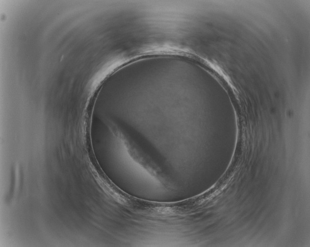 X0000087681463200705181717